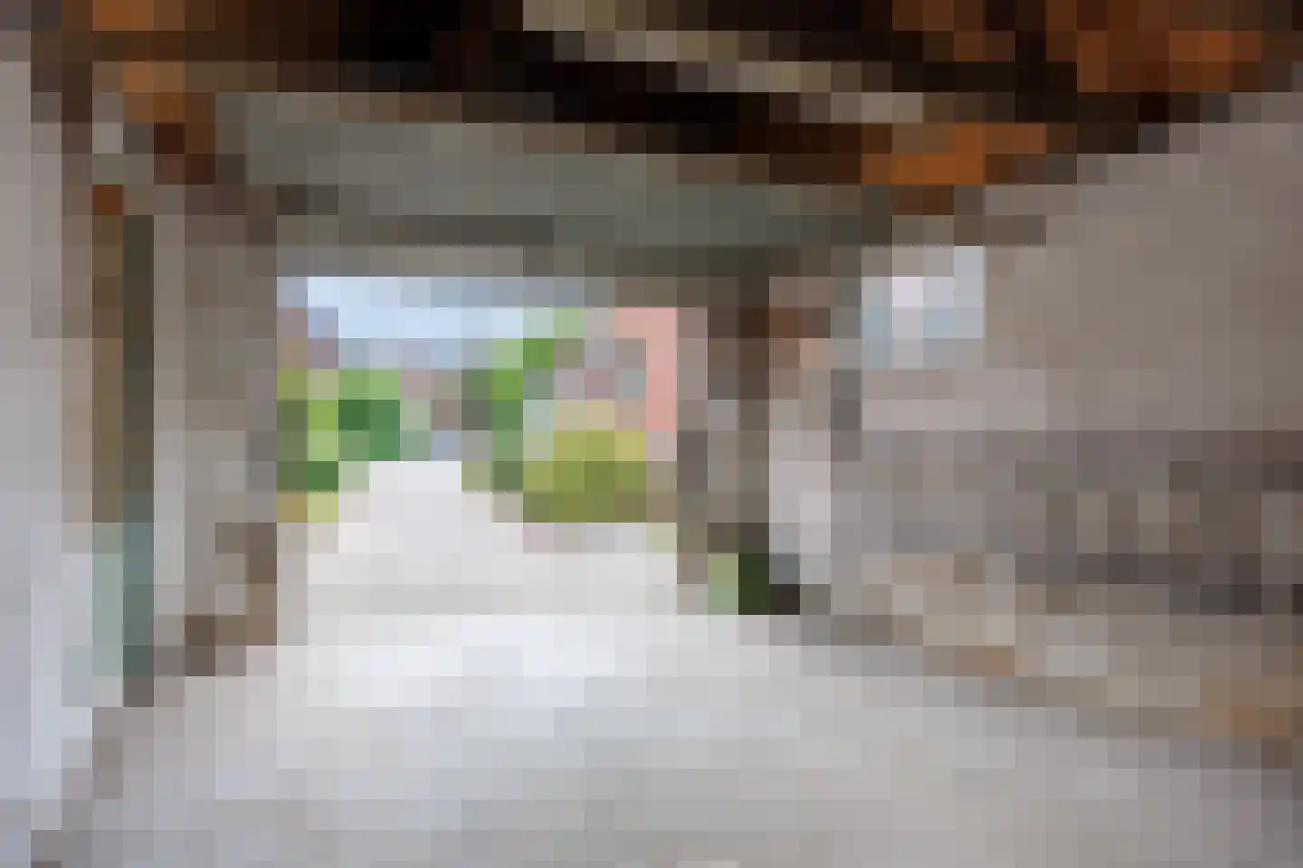 Pastoor Berdenstraat 13 Afferden L thumbnail 31