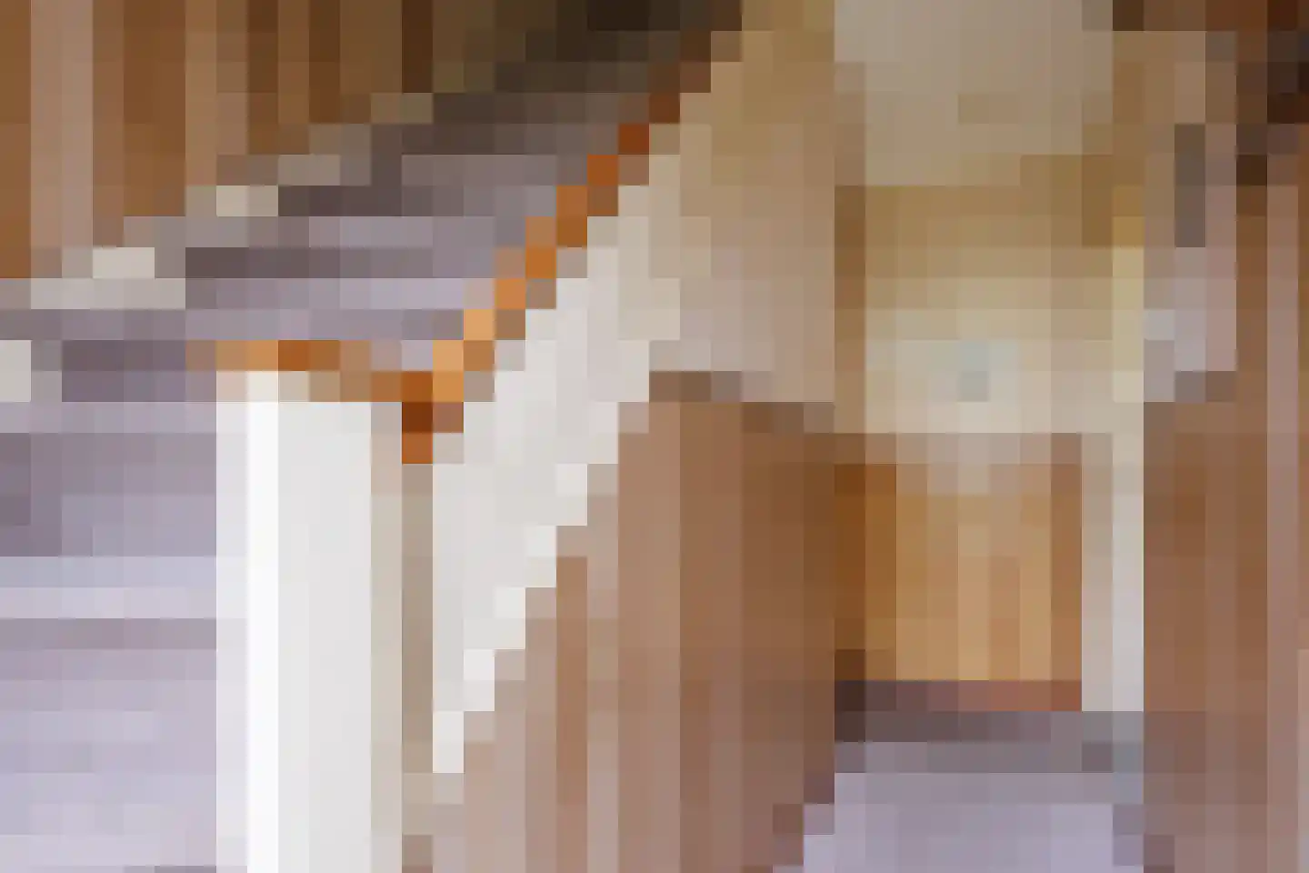 Pastoor Berdenstraat 13 Afferden L thumbnail 5