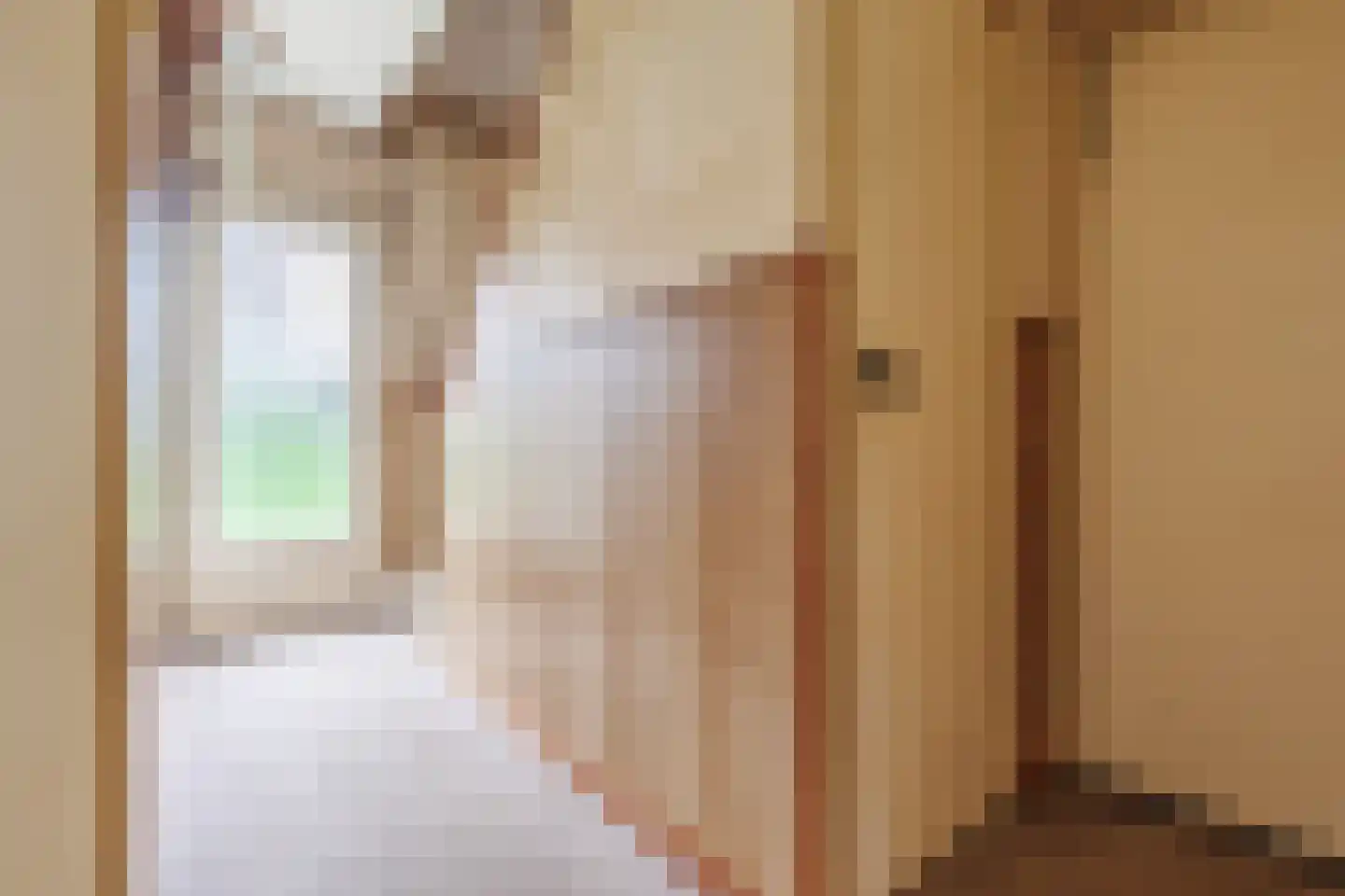 Pastoor Berdenstraat 13 Afferden L thumbnail 6