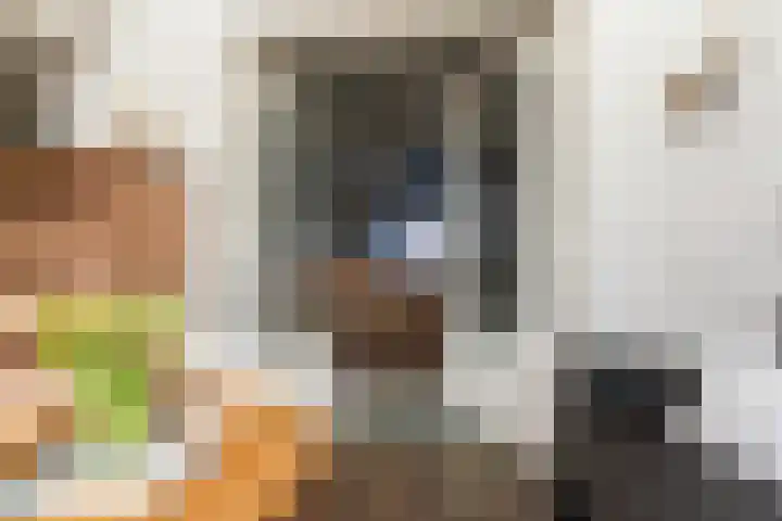 Pastoor Berdenstraat 20 Afferden L thumbnail 13