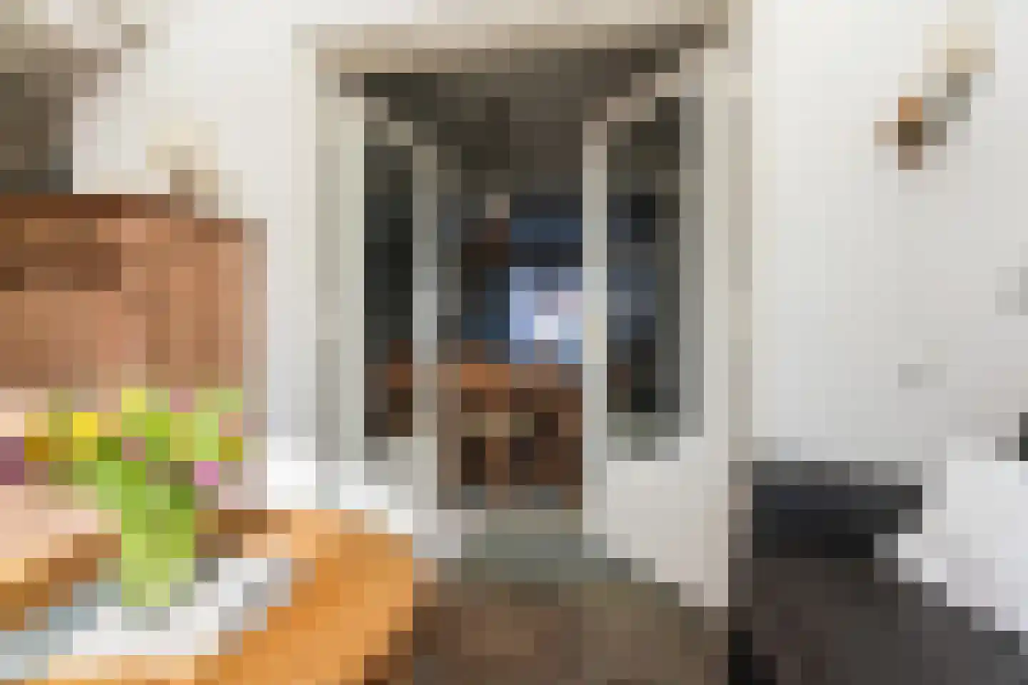 Pastoor Berdenstraat 20 Afferden L thumbnail 14