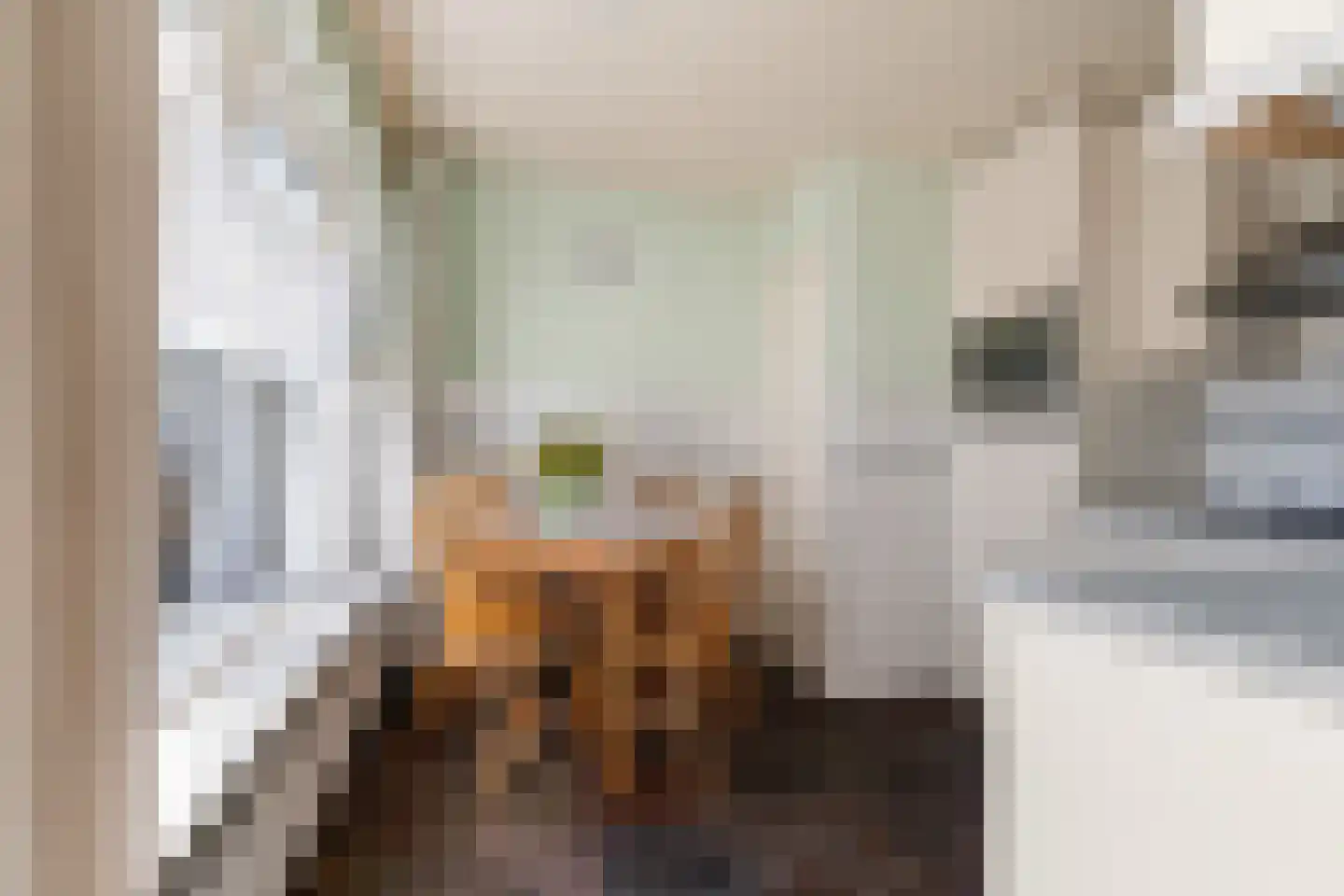 Pastoor Berdenstraat 20 Afferden L thumbnail 15