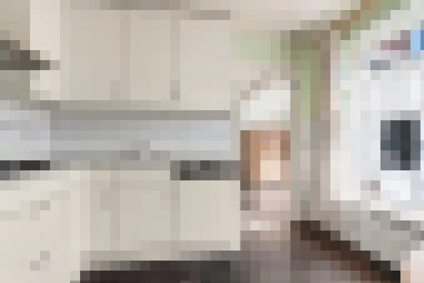 Pastoor Berdenstraat 20 Afferden L thumbnail 16