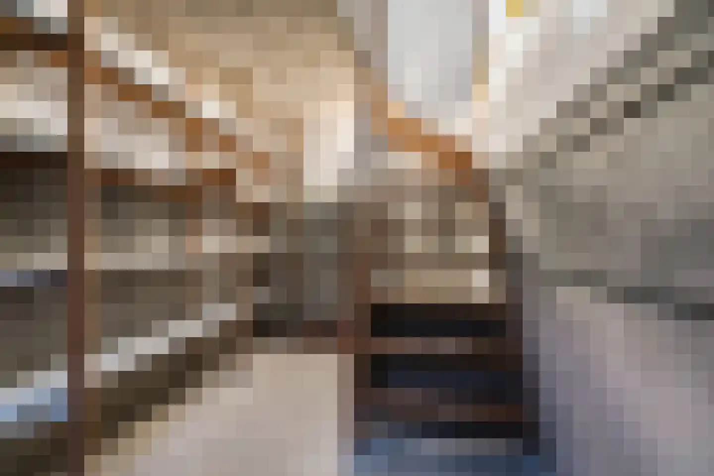 Pastoor Berdenstraat 20 Afferden L thumbnail 25
