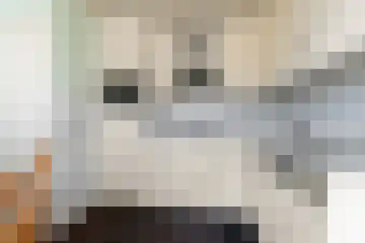 Pastoor Berdenstraat 20 Afferden L thumbnail 4