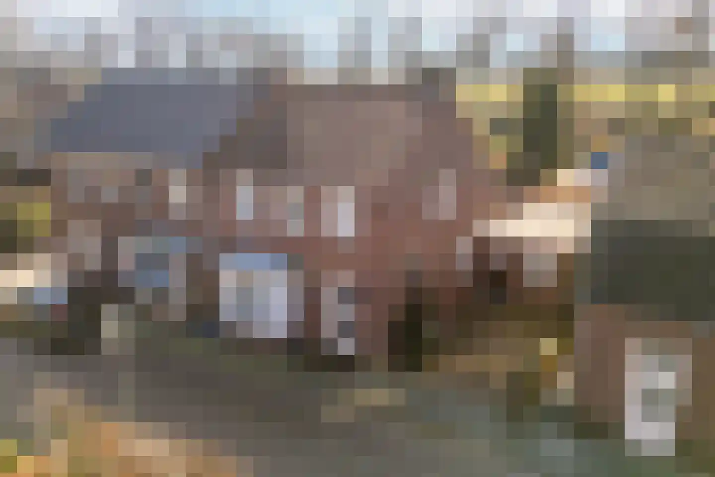 Pastoor Berdenstraat 20 Afferden L thumbnail 5