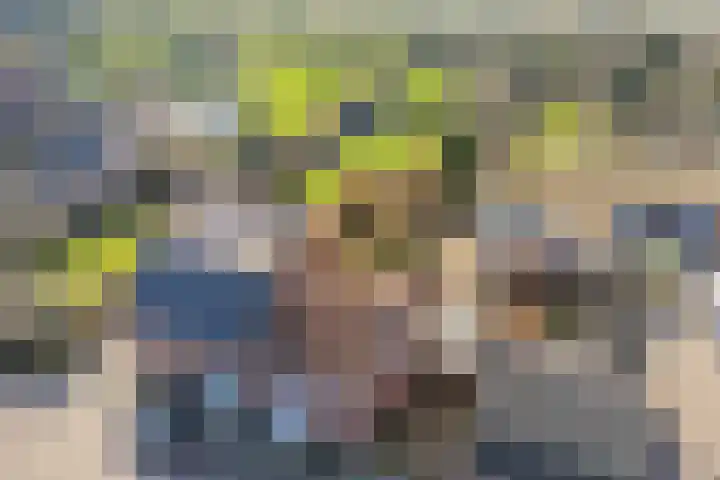 Pastoor Berdenstraat 20 Afferden L thumbnail 5