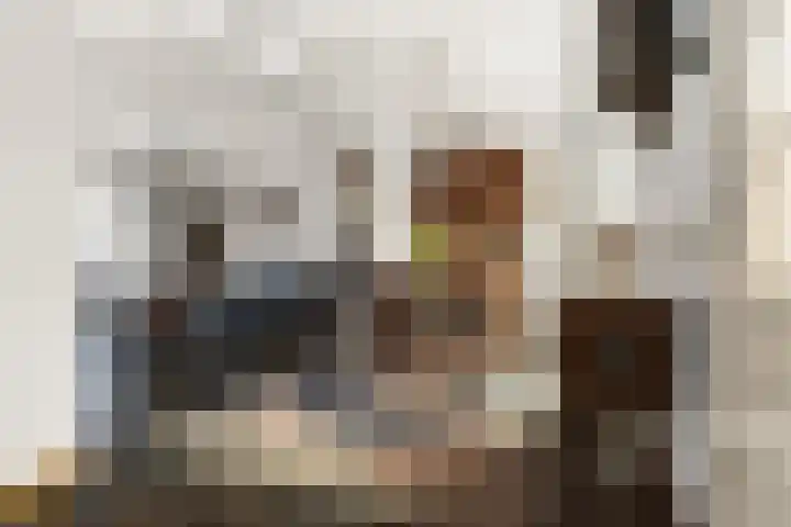 Pastoor Berdenstraat 20 Afferden L thumbnail 9