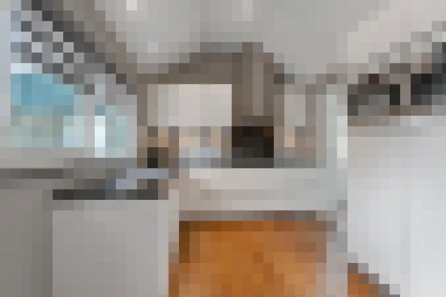 Pastoor Berdenstraat 3 Afferden L thumbnail 9