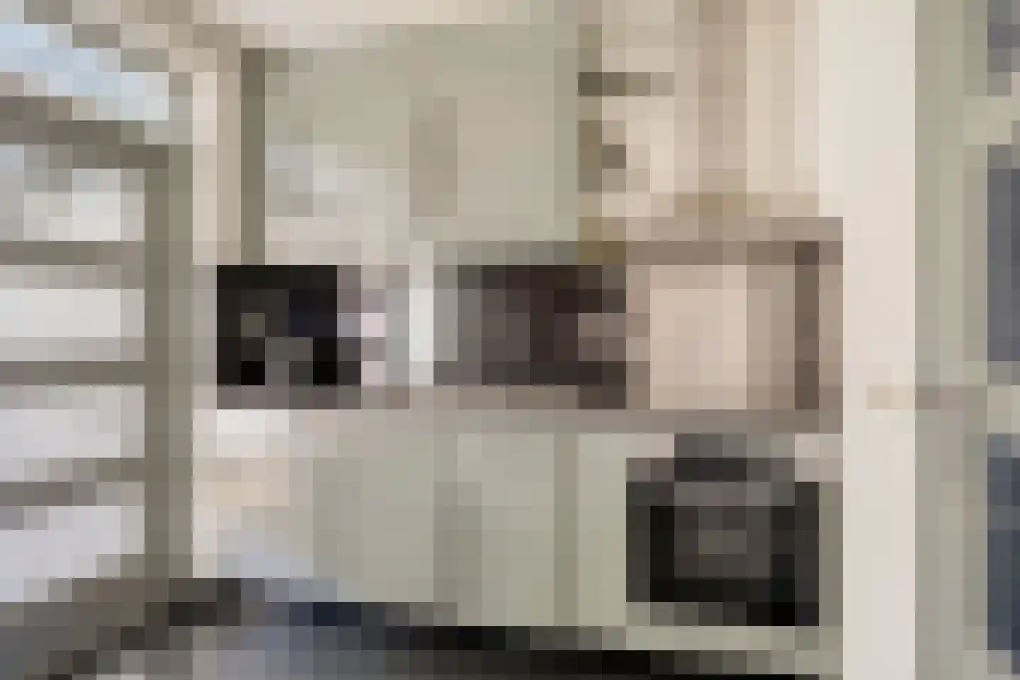 Pastoor Berdenstraat 5 Afferden L thumbnail 14