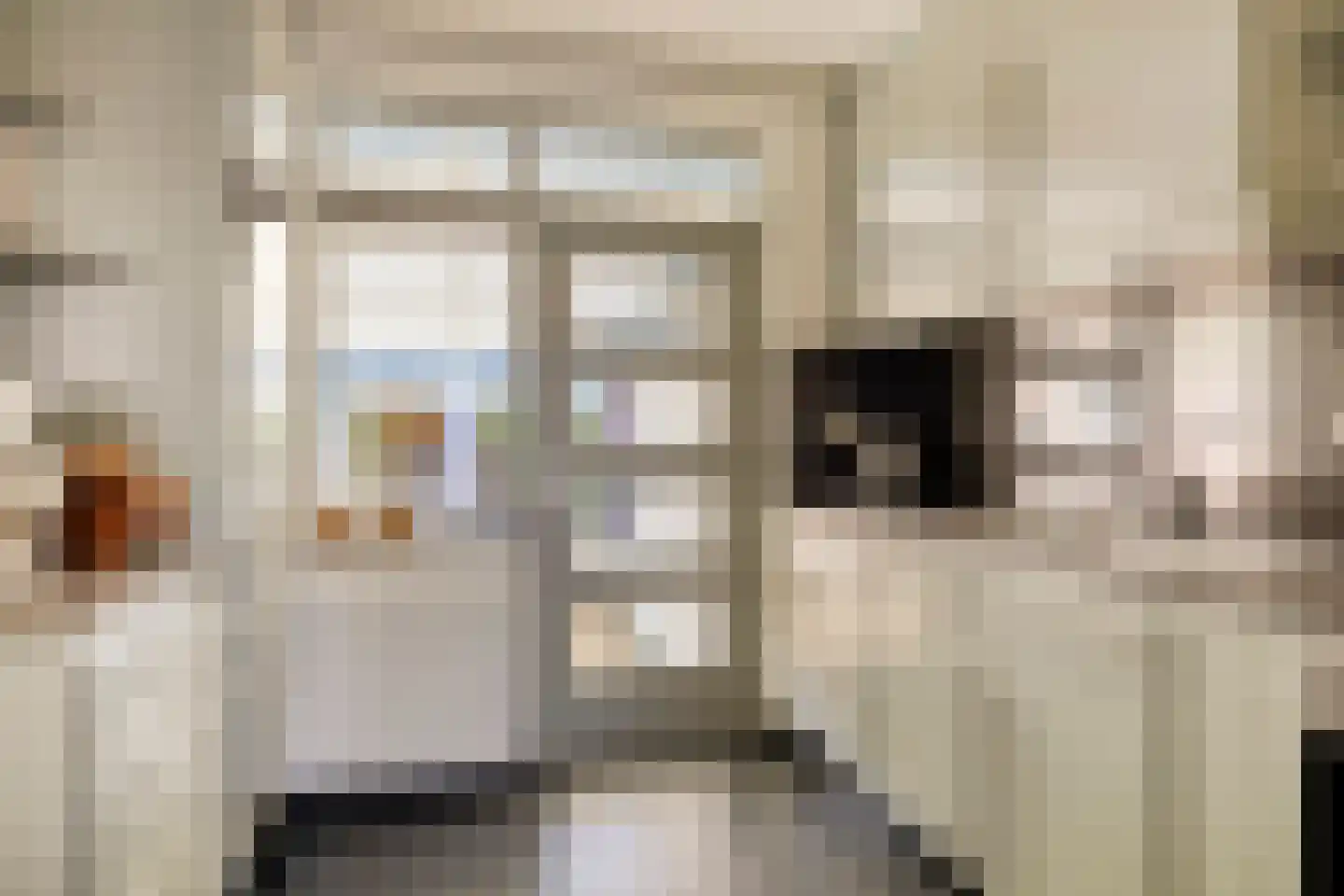Pastoor Berdenstraat 5 Afferden L thumbnail 15