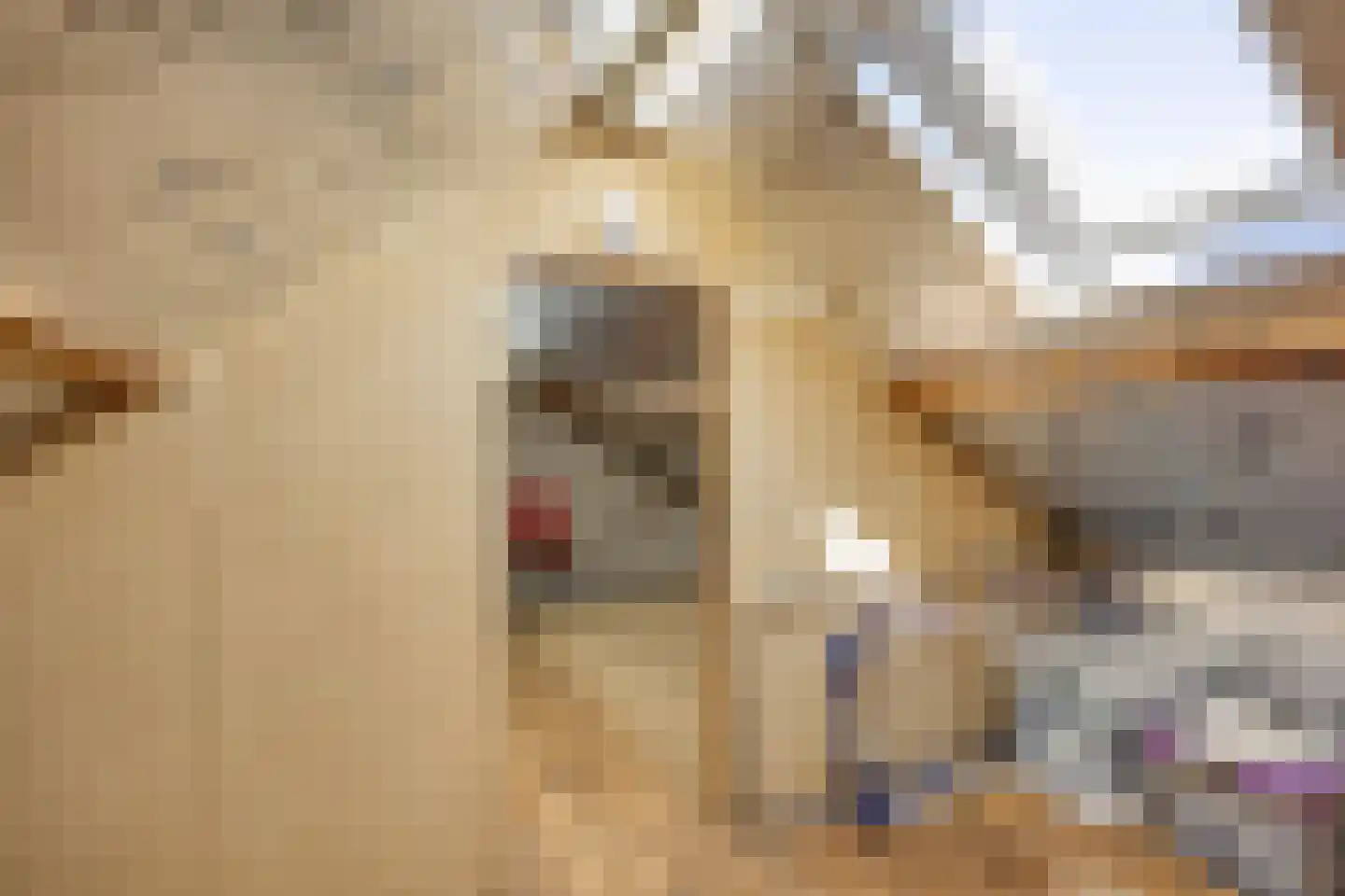 Pastoor Berdenstraat 5 Afferden L thumbnail 27