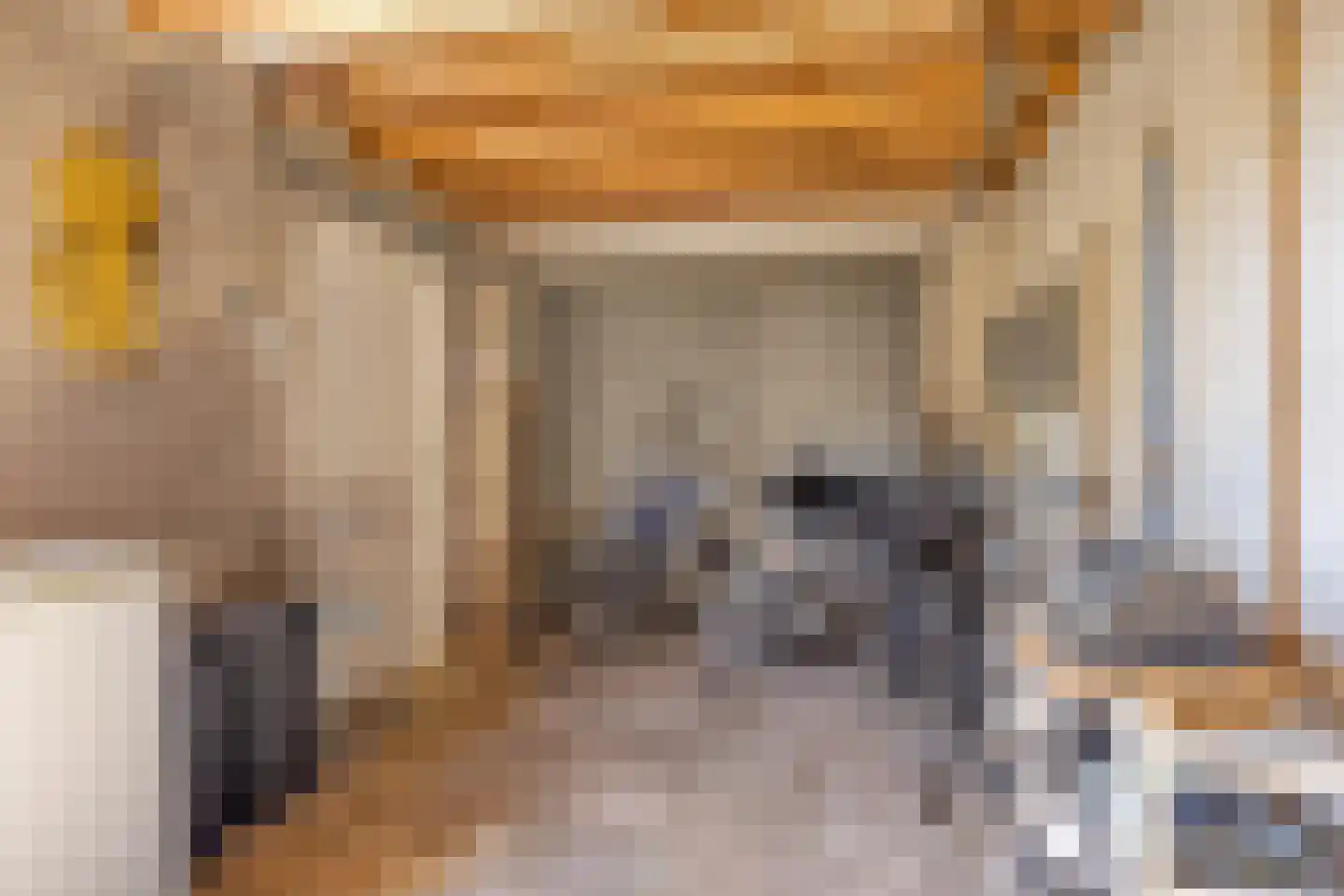 Pastoor Berdenstraat 5 Afferden L thumbnail 37