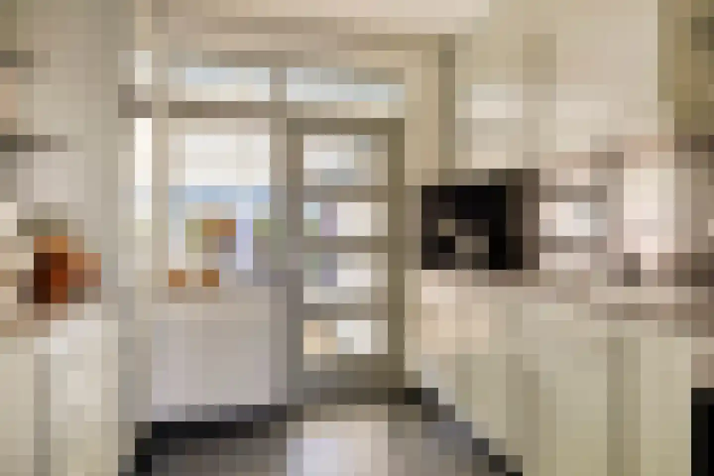 Pastoor Berdenstraat 5 Afferden L thumbnail 4