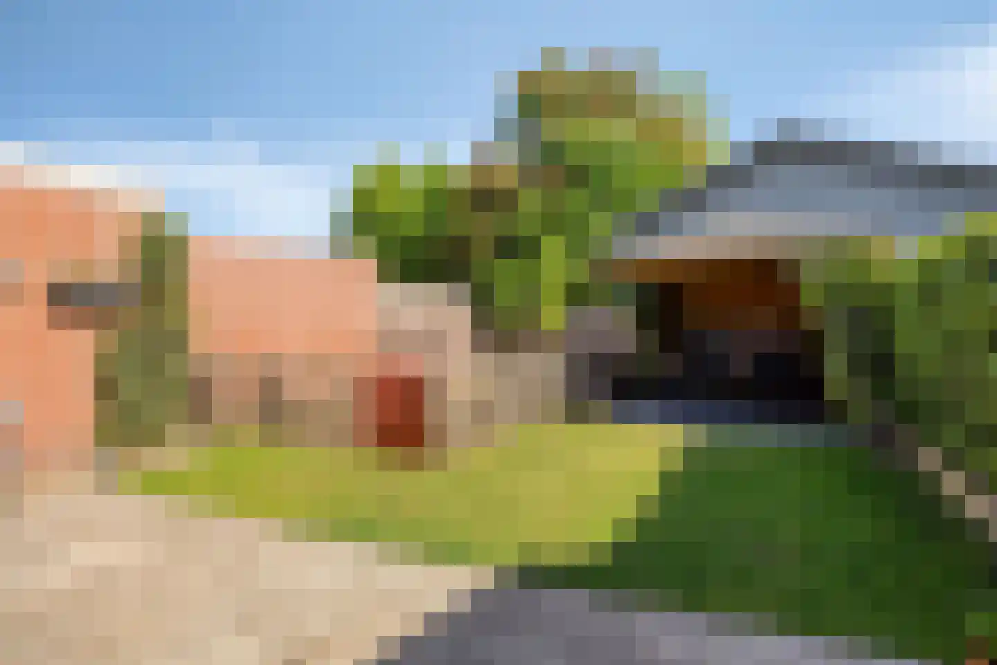 Pastoor Berdenstraat 5 Afferden L thumbnail 6