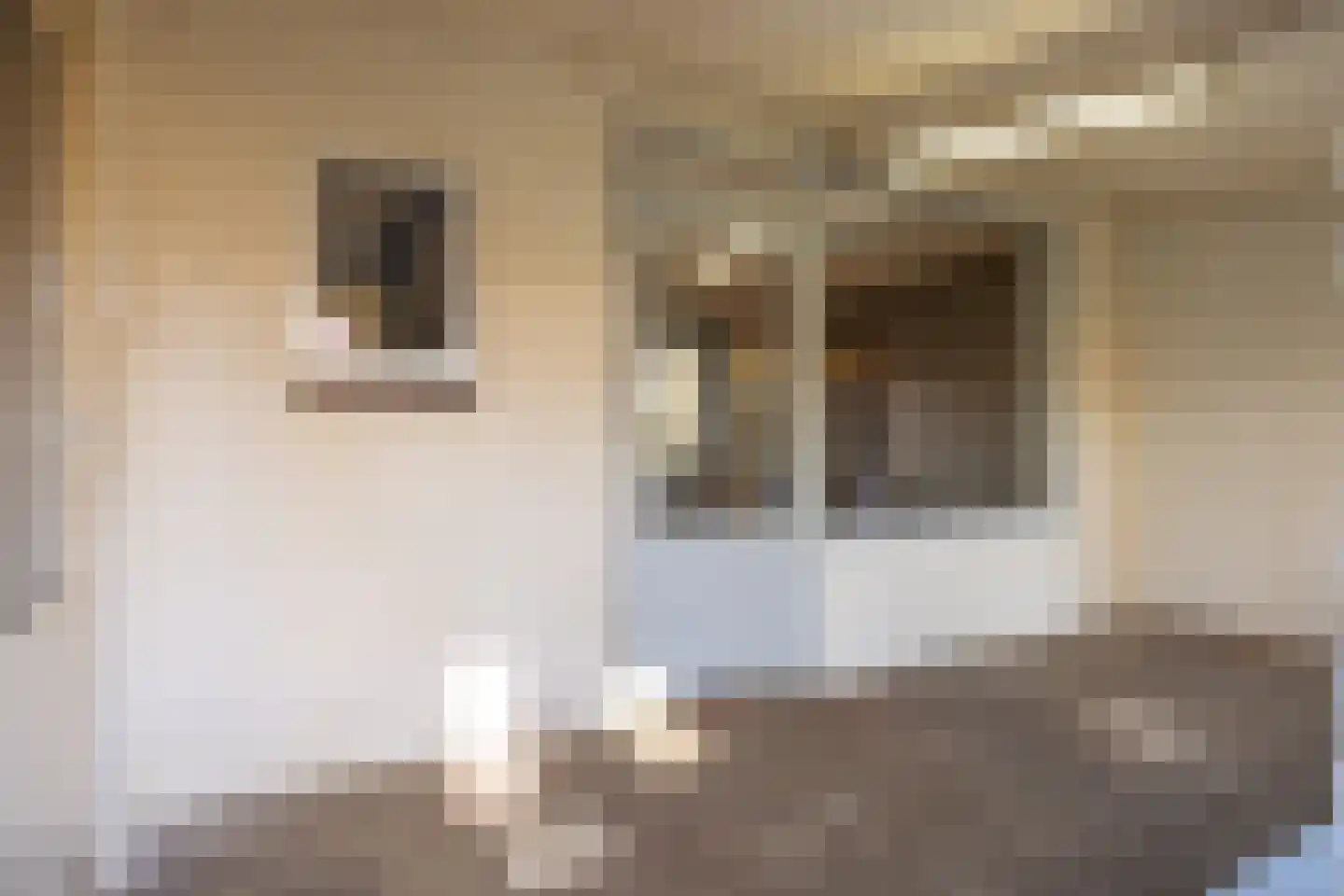 Pastoor Bernegaustraat 2 Munstergeleen thumbnail 19