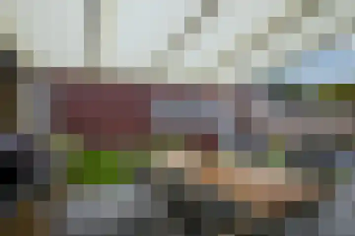 Pastoor Bernegaustraat 3 Munstergeleen thumbnail 32