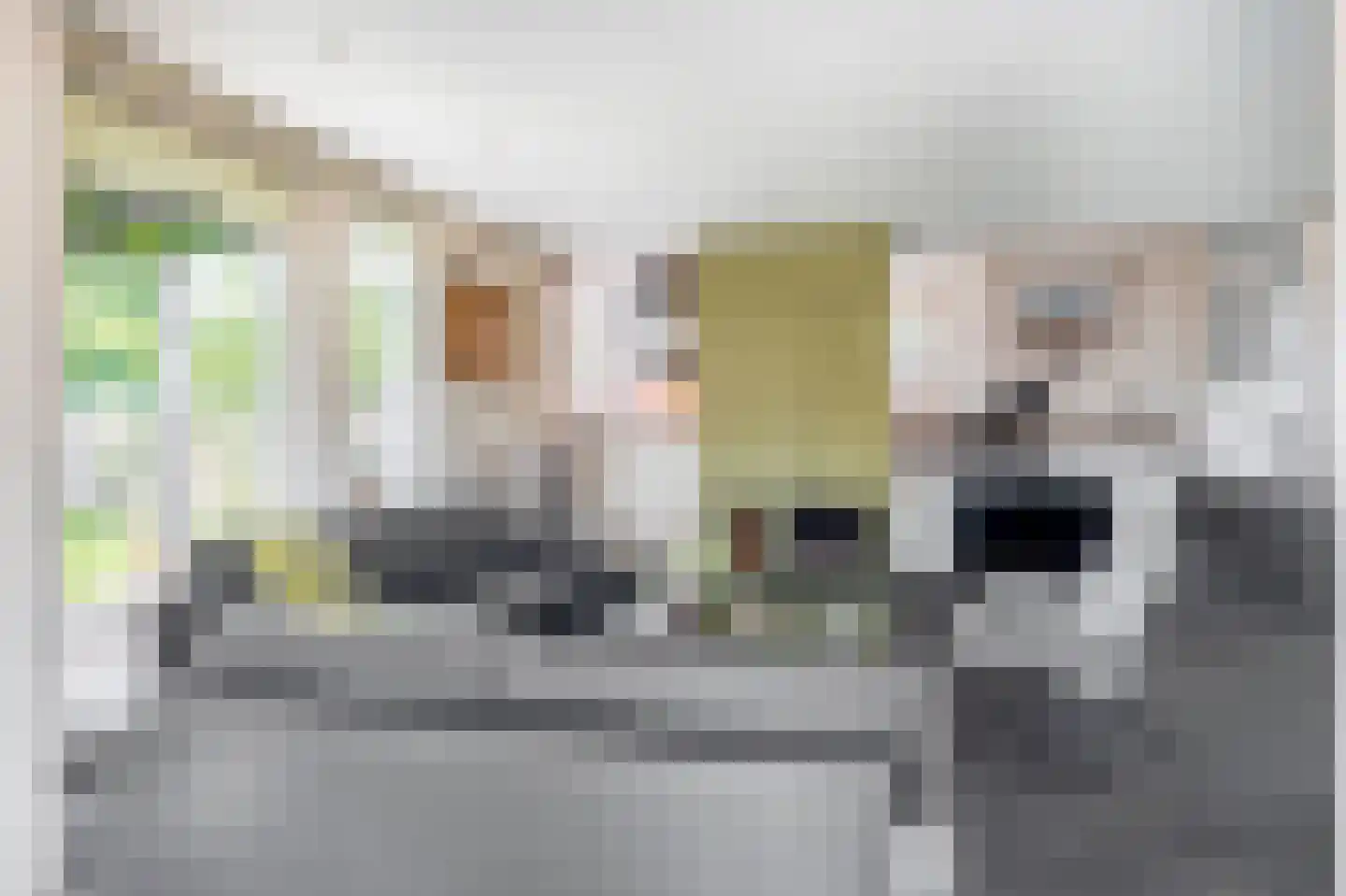 Pastoor Bertrandstraat 8 Veldhoven thumbnail 11