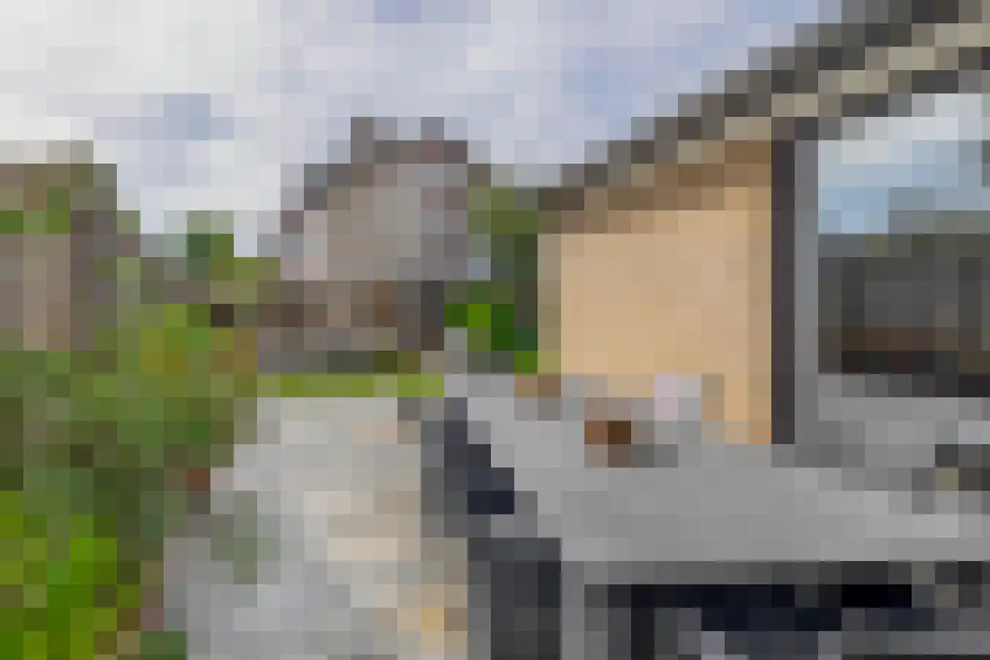 Pastoor Bertrandstraat 8 Veldhoven thumbnail 43