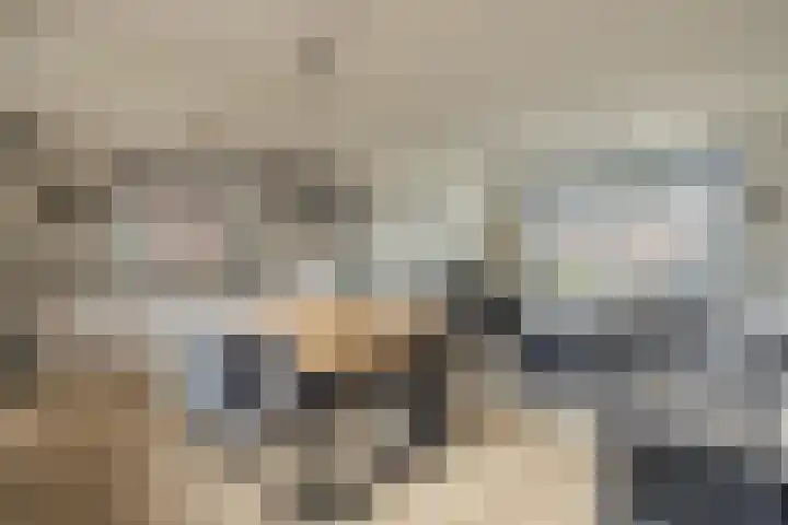 Pastoor Bielarsstraat 11 Wernhout thumbnail 13