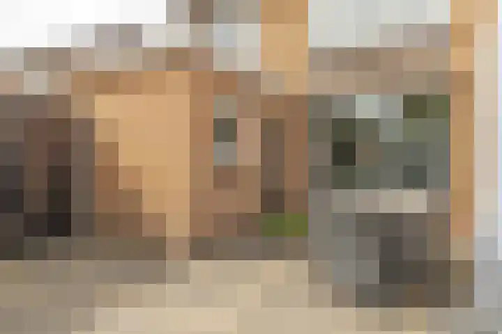 Pastoor Bielarsstraat 11 Wernhout thumbnail 27