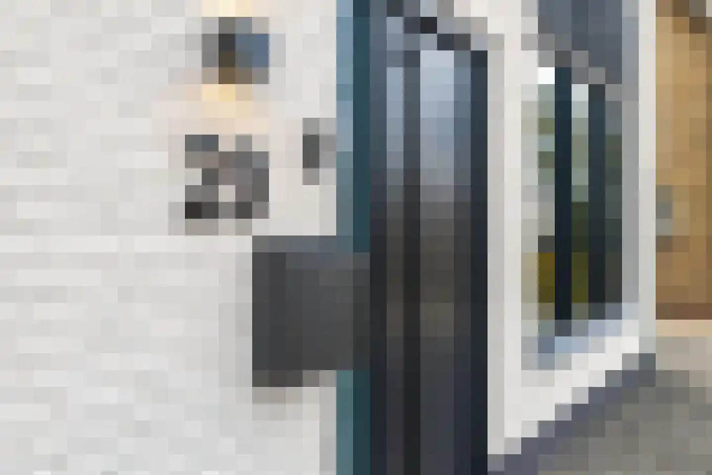 Pastoor Bielarsstraat 29 Wernhout thumbnail 8