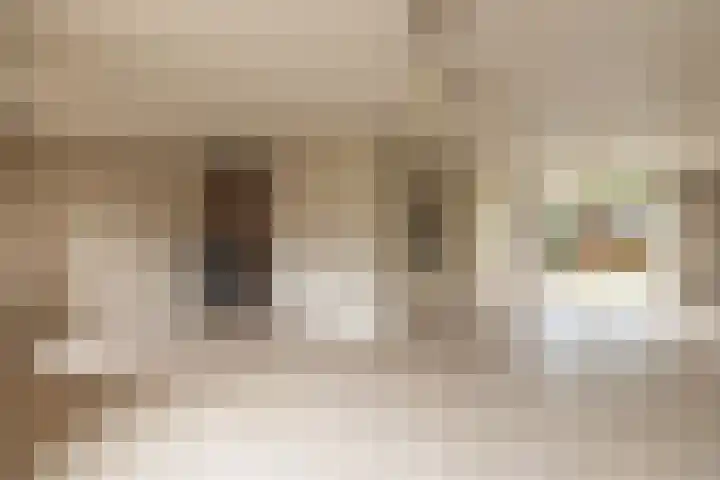 Pastoor Bielarsstraat 3 Wernhout thumbnail 4