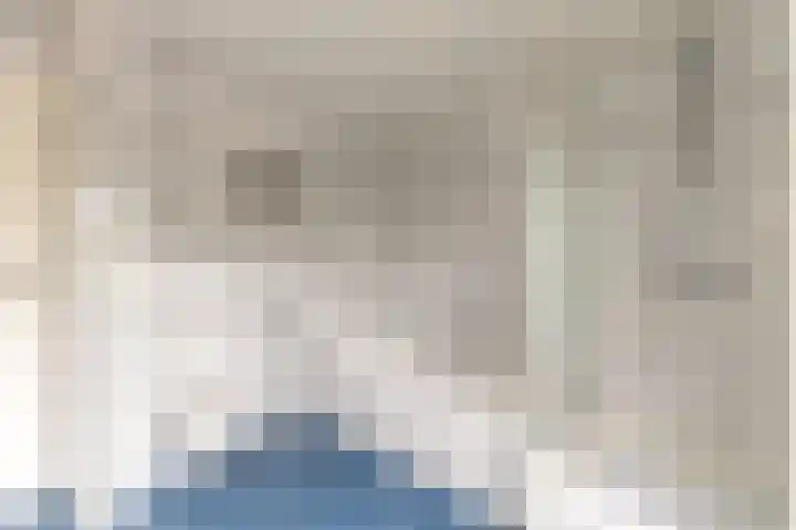 Pastoor Bielarsstraat 3 Wernhout thumbnail 5