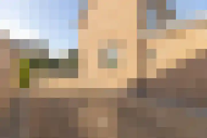 Pastoor Bielarsstraat 8 Wernhout thumbnail 8