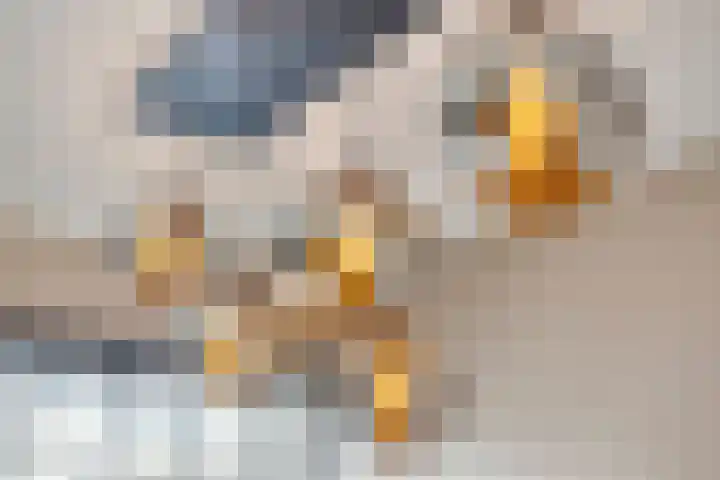 Pastoor Blokhofpad 14 Losser thumbnail 10