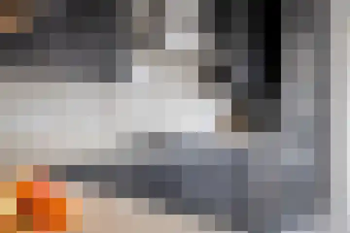 Pastoor Blokhofpad 14 Losser thumbnail 14