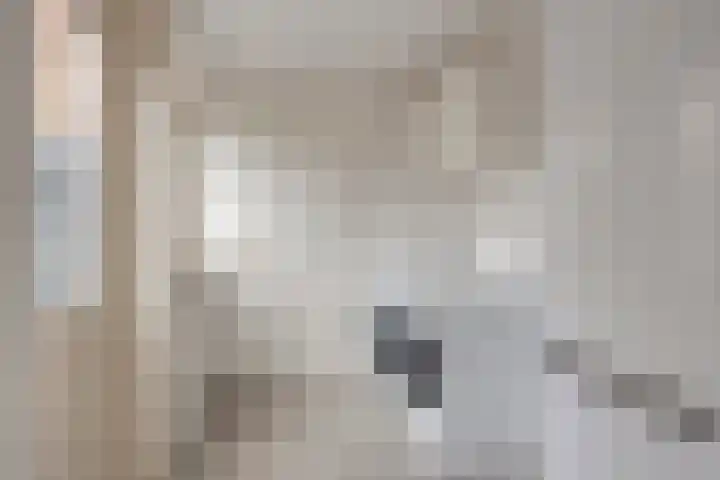 Pastoor Blokhofpad 14 Losser thumbnail 16