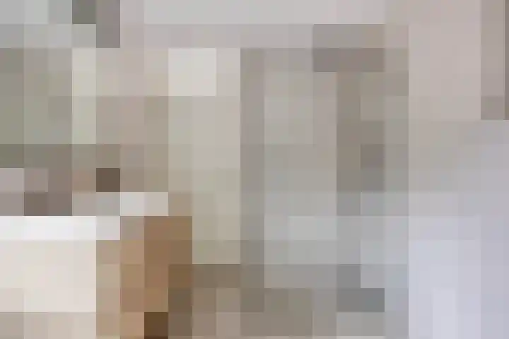 Pastoor Blokhofpad 14 Losser thumbnail 23