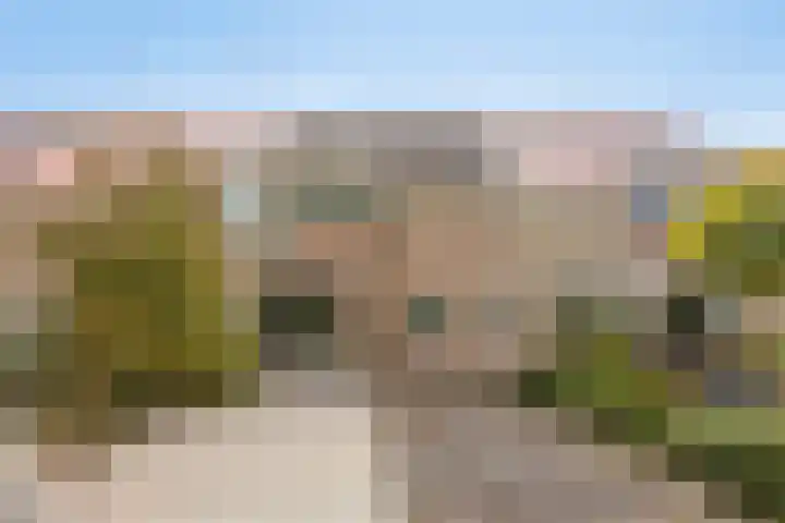 Pastoor Blokhofpad 14 Losser thumbnail 35