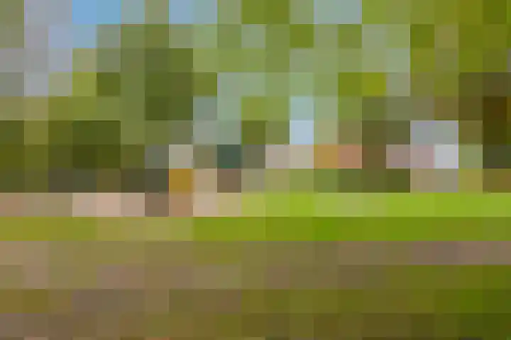 Pastoor Blokhofpad 14 Losser thumbnail 37