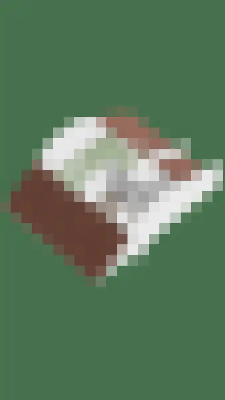 Pastoor Blokhofpad 14 Losser thumbnail 43
