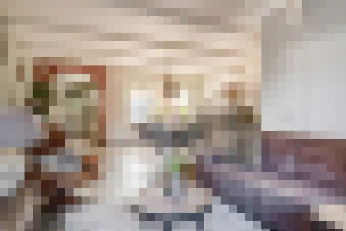 Pastoor Blokhofpad 22 Losser thumbnail 10