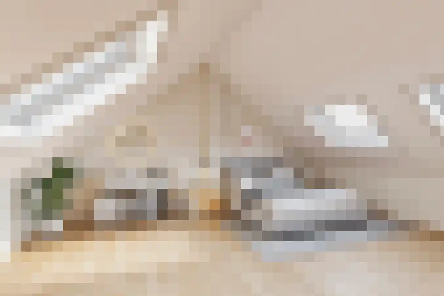 Pastoor Blokhofpad 22 Losser thumbnail 22