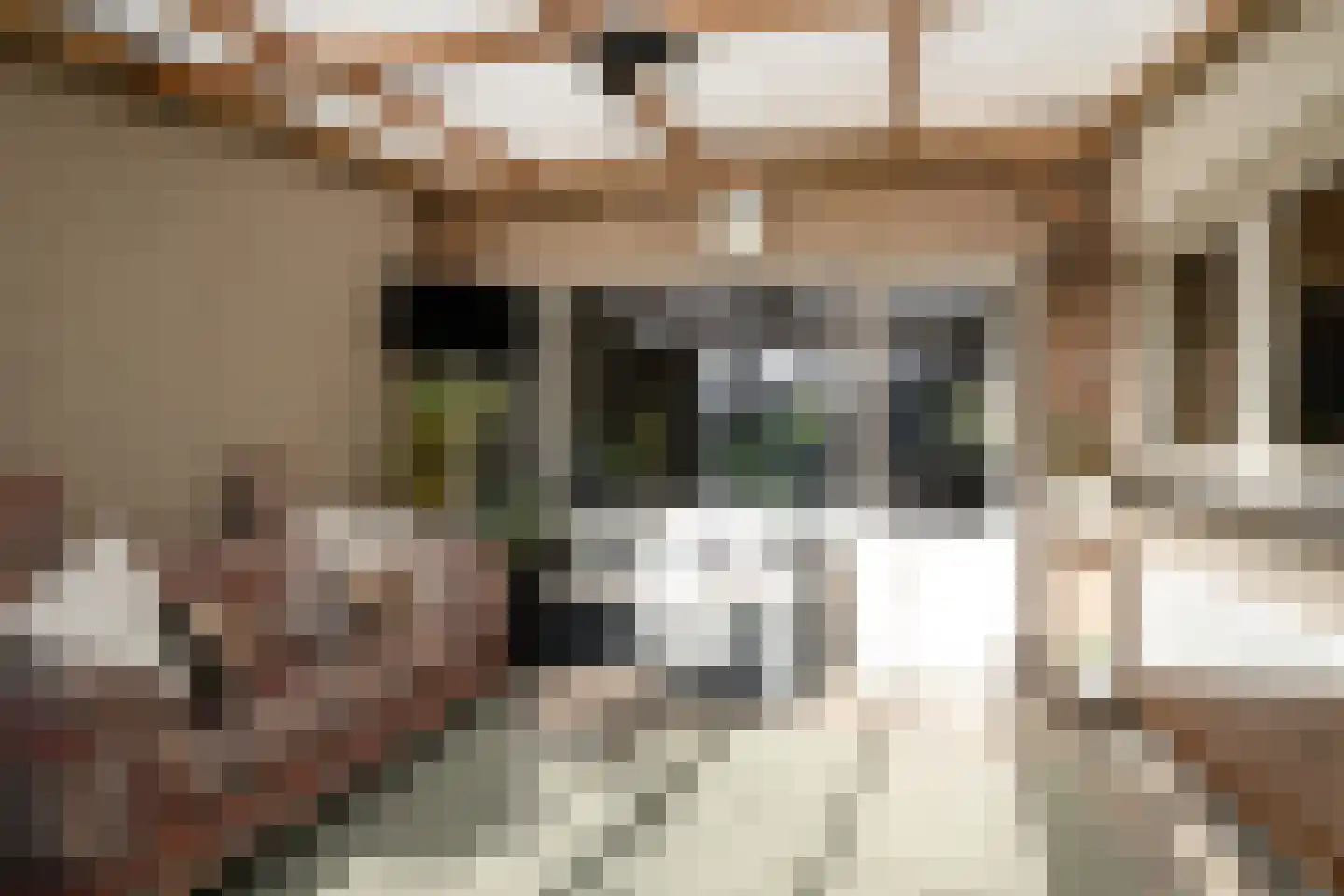 Pastoor Blokhofpad 22 Losser thumbnail 23