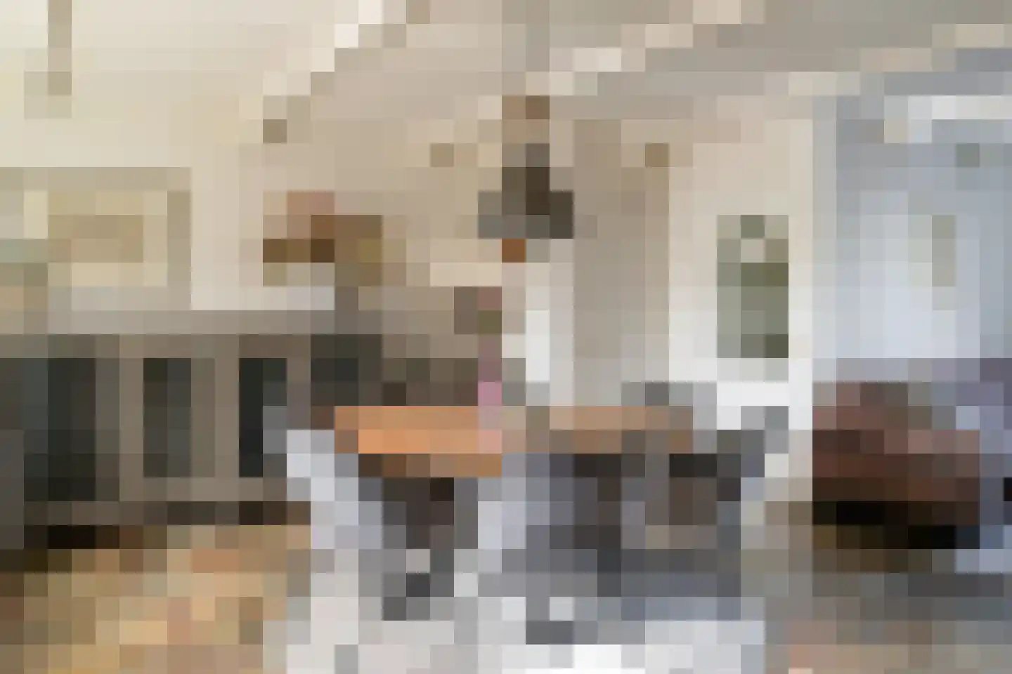 Pastoor Blokhofpad 22 Losser thumbnail 9