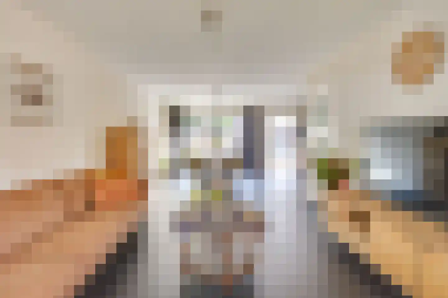 Pastoor Boelaarsstraat 16 Biest-Houtakker thumbnail 10