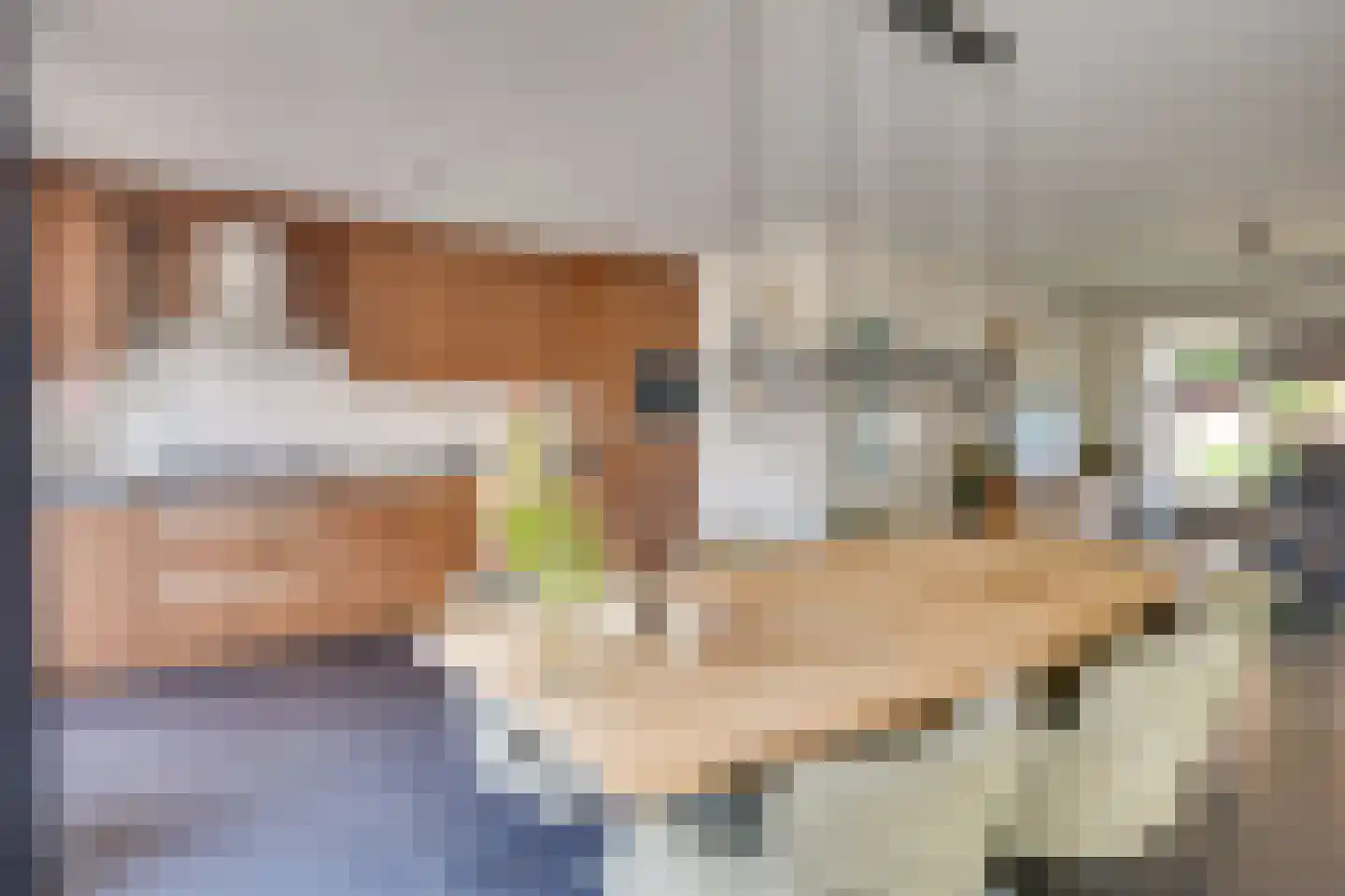 Pastoor Boelaarsstraat 16 Biest-Houtakker thumbnail 13