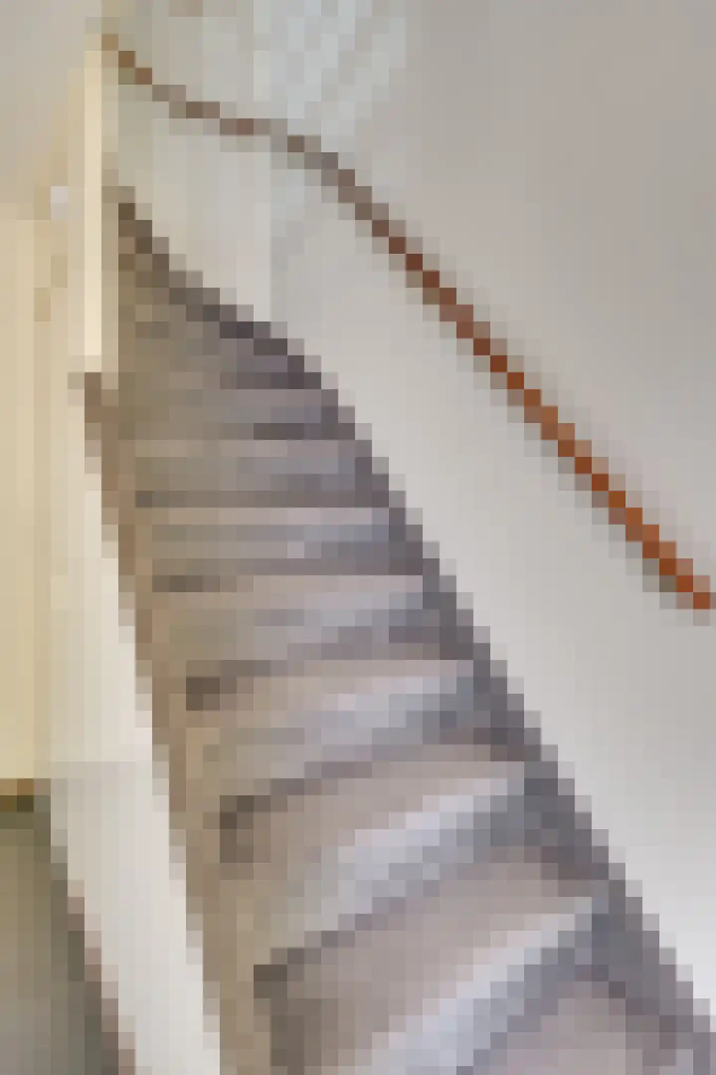 Pastoor Boelaarsstraat 16 Biest-Houtakker thumbnail 23