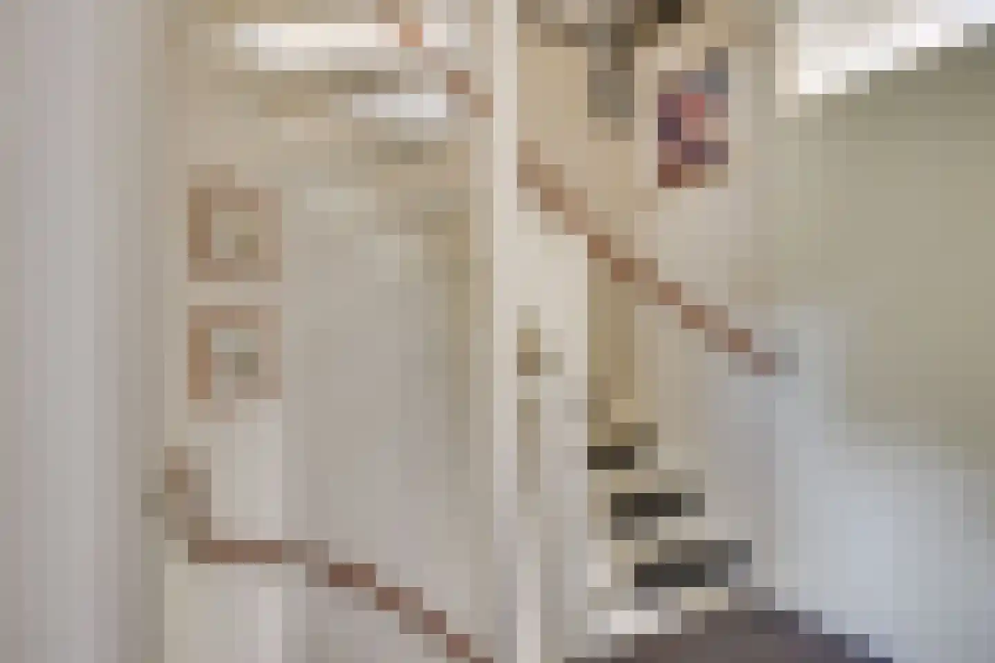 Pastoor Boelaarsstraat 16 Biest-Houtakker thumbnail 24
