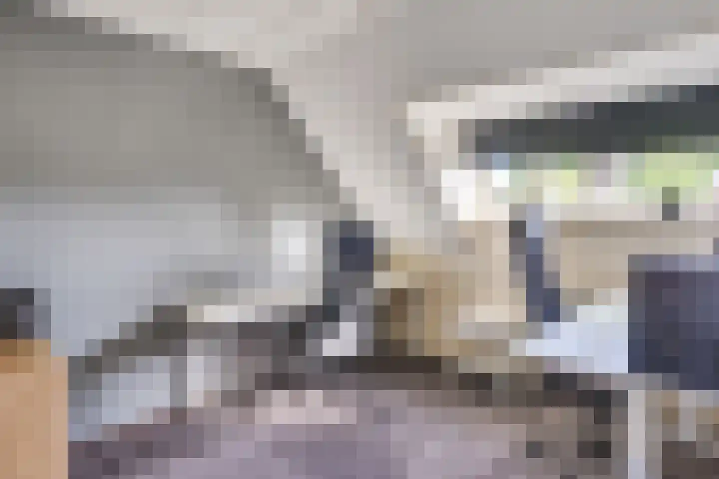 Pastoor Boelaarsstraat 16 Biest-Houtakker thumbnail 32