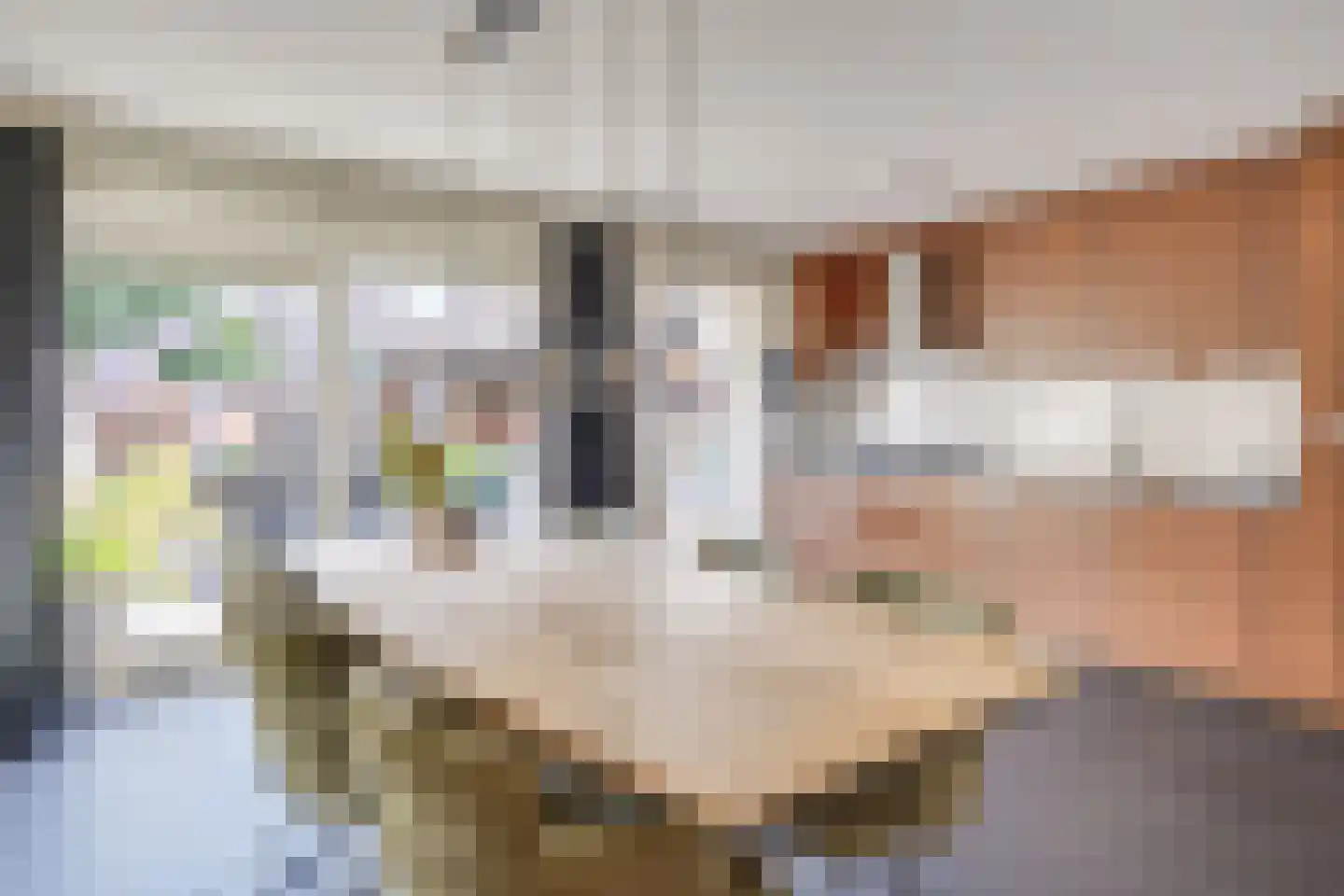 Pastoor Boelaarsstraat 16 Biest-Houtakker thumbnail 4
