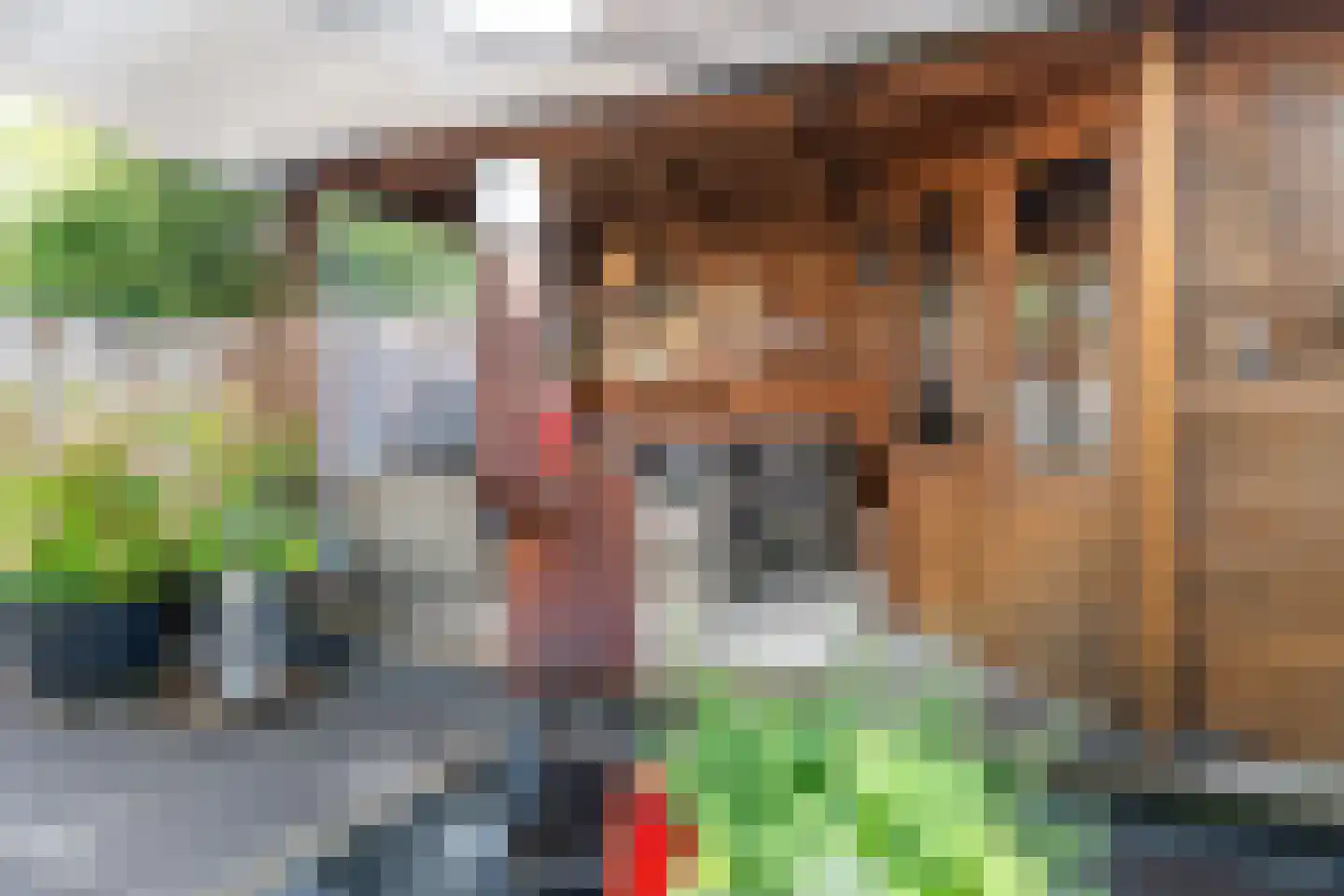 Pastoor Boelaarsstraat 16 Biest-Houtakker thumbnail 42