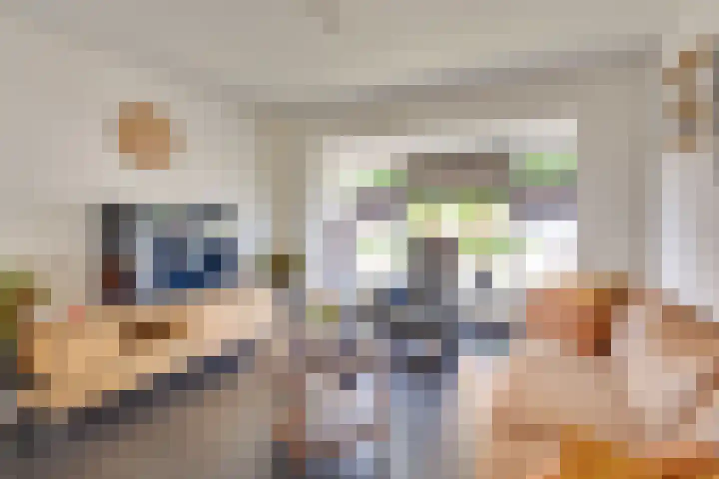 Pastoor Boelaarsstraat 16 Biest-Houtakker thumbnail 9
