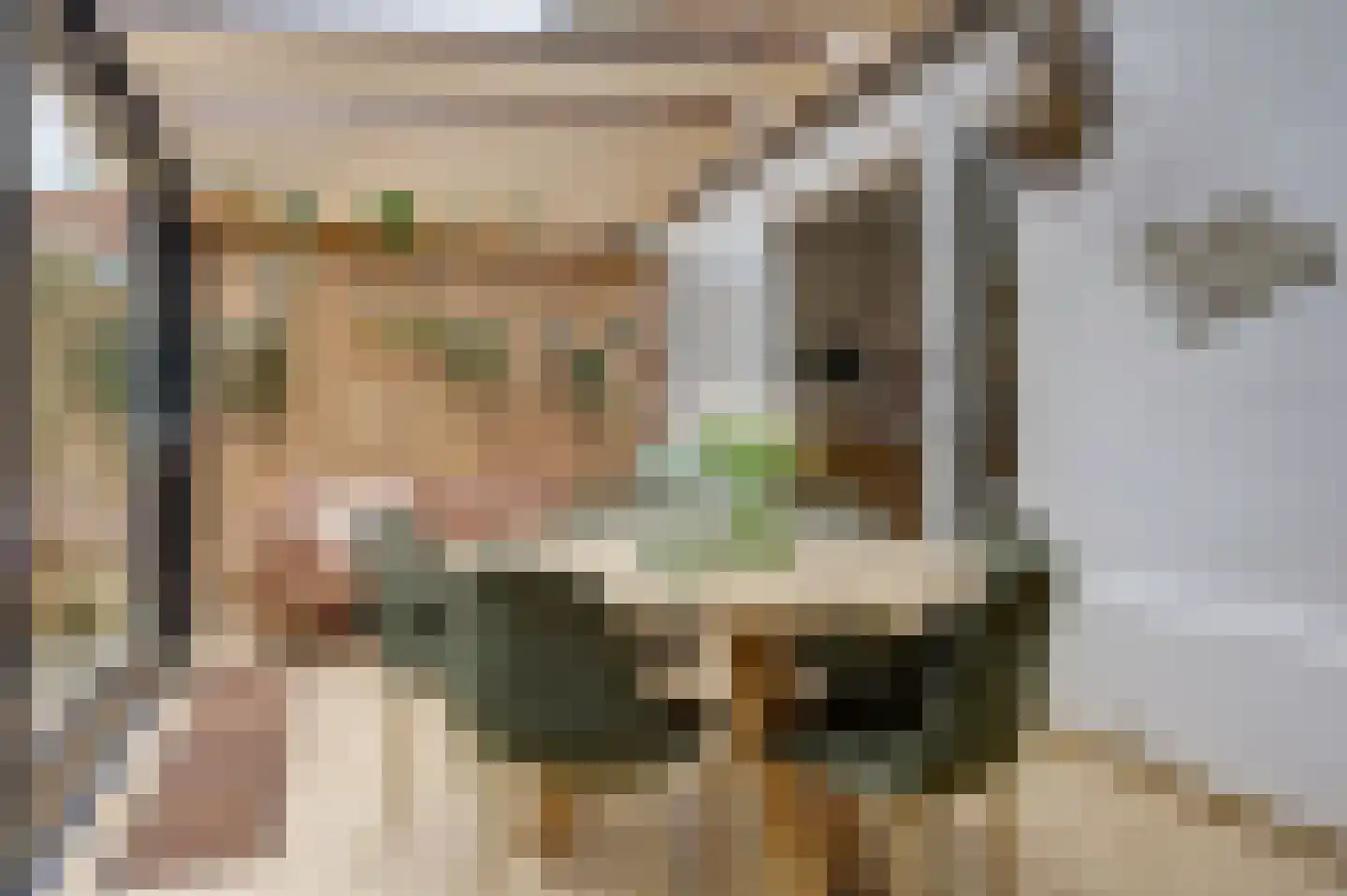 Pastoor Boelenslaan 6 De Meern thumbnail 17