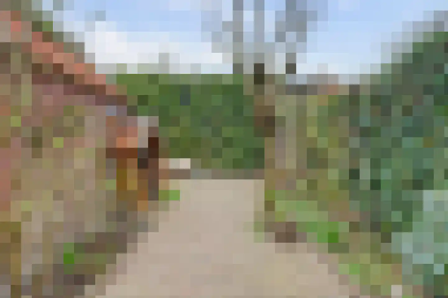 Pastoor Boelenslaan 6 De Meern thumbnail 19